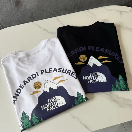 ノースフェイス Tシャツ