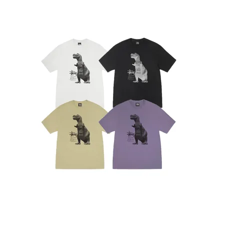 ステューシー Tシャツ