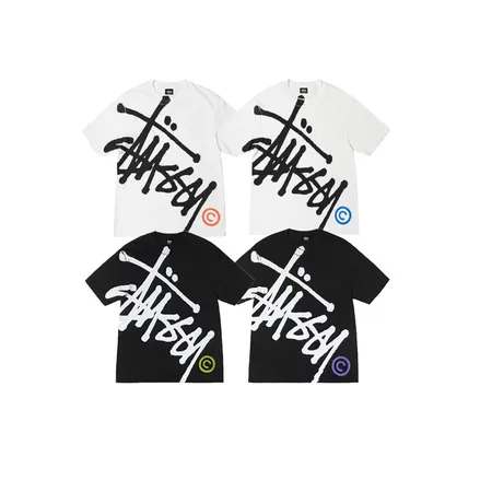 ステューシー Tシャツ