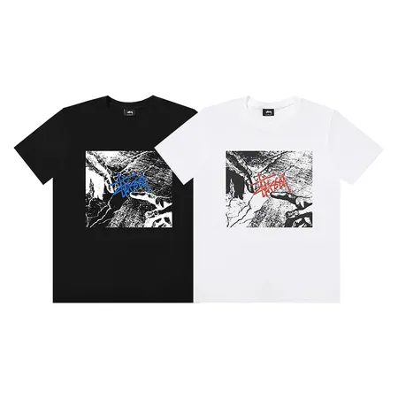 ステューシー Tシャツ