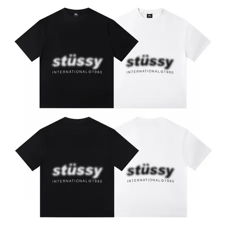 ステューシー Tシャツ