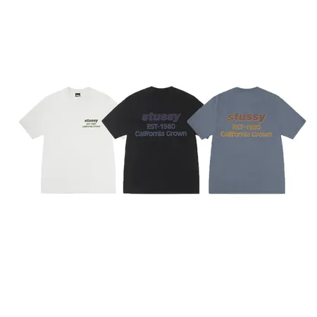 ステューシー Tシャツ
