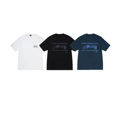 ステューシー Tシャツ