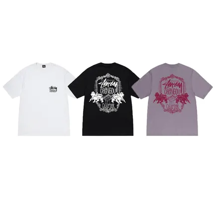 ステューシー Tシャツ