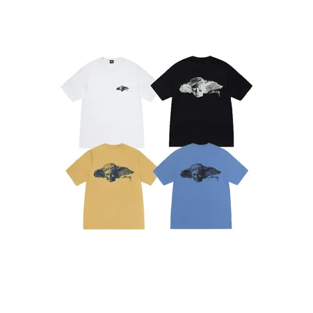 ステューシー Tシャツ