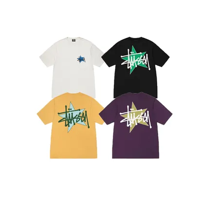 ステューシー Tシャツ