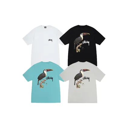 ステューシー Tシャツ