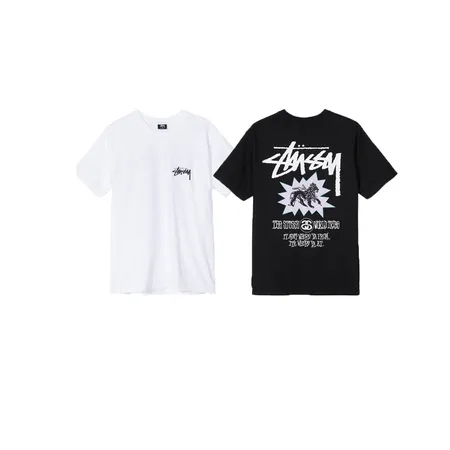 ステューシー Tシャツ