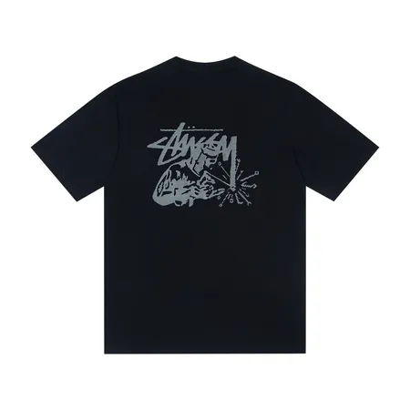 ステューシー Tシャツ