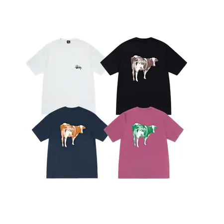 ステューシー Tシャツ