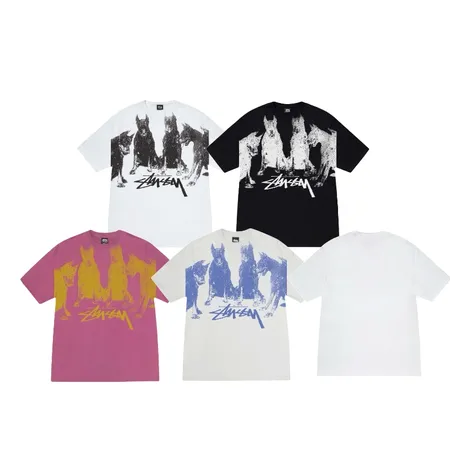 ステューシー Tシャツ