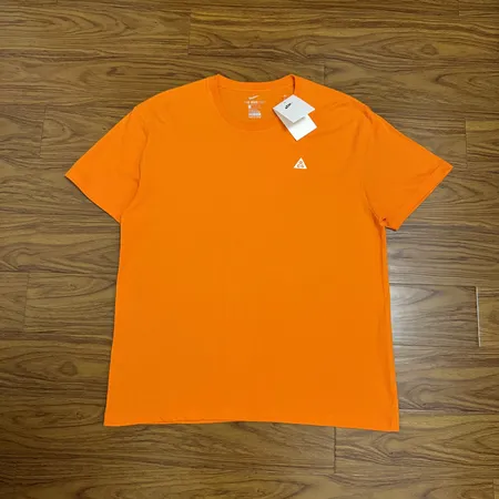 ナイキ Tシャツ