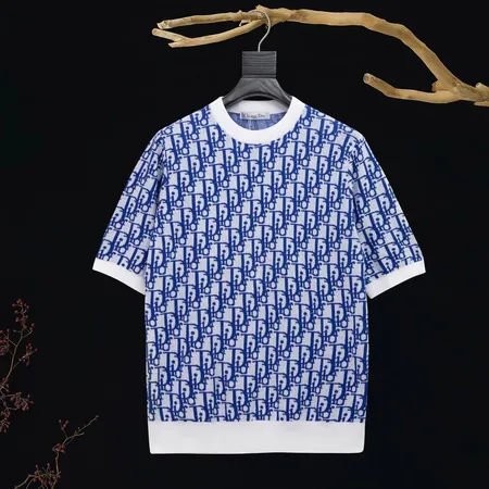 ディオール Tシャツ
