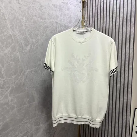 ディオール Tシャツ
