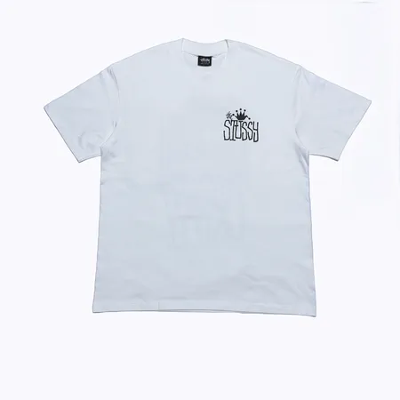 ステューシー Tシャツ