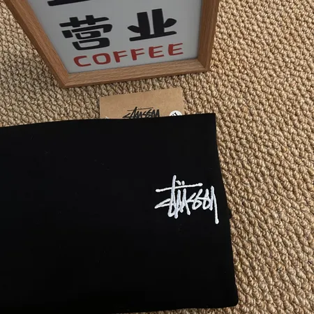 ステューシー Tシャツ