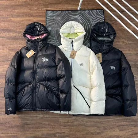 ステューシー ダウンジャケット