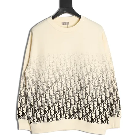 ディオール パーカー