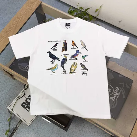 ステューシー Tシャツ