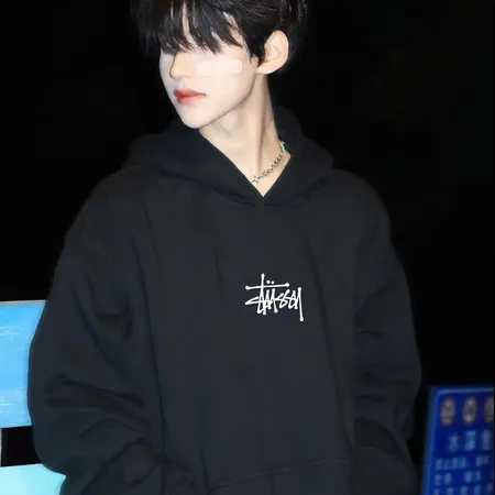 ステューシー パーカー