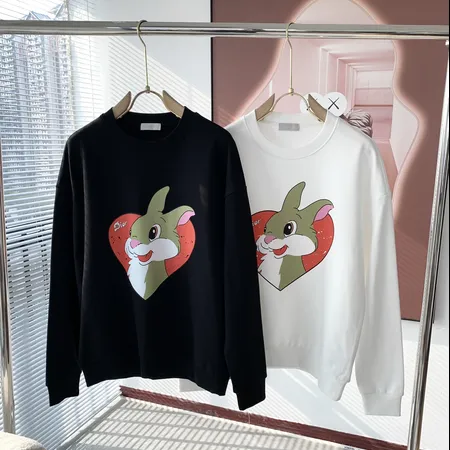 ディオール パーカー