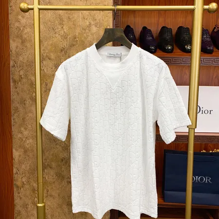 ディオール Tシャツ