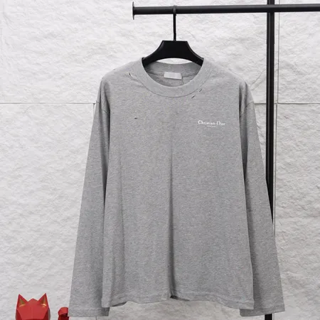 ディオール Tシャツ