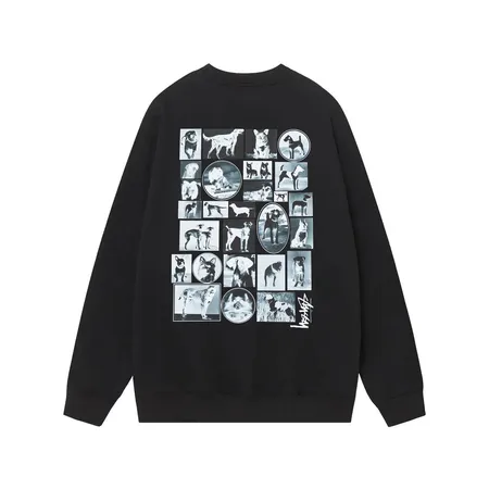 ステューシー パーカー