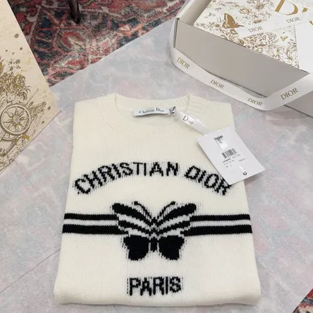 ディオール Tシャツ