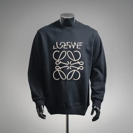 ロエベ パーカー