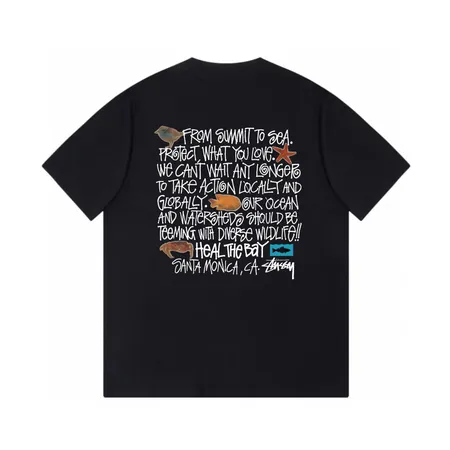 ステューシー Tシャツ