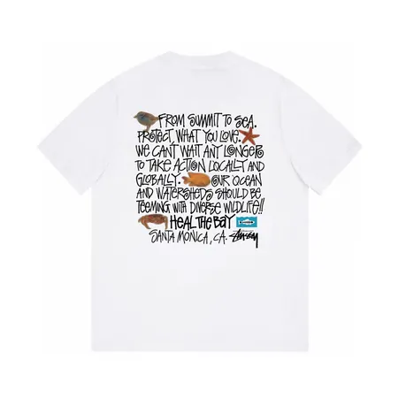 ステューシー Tシャツ