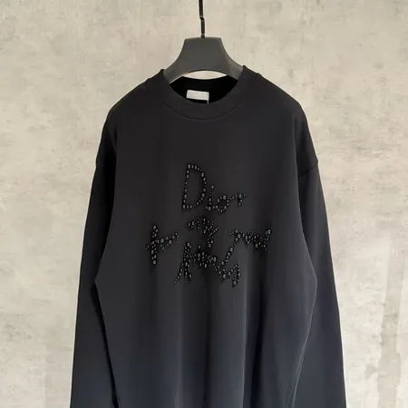 ディオール Tシャツ