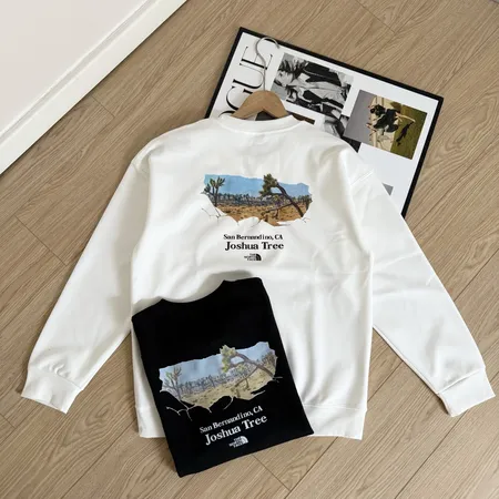 ノースフェイス パーカー