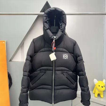 ロエベ ダウンジャケット