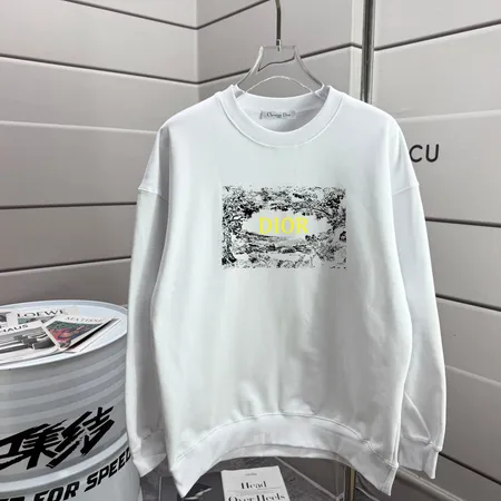 ディオール パーカー