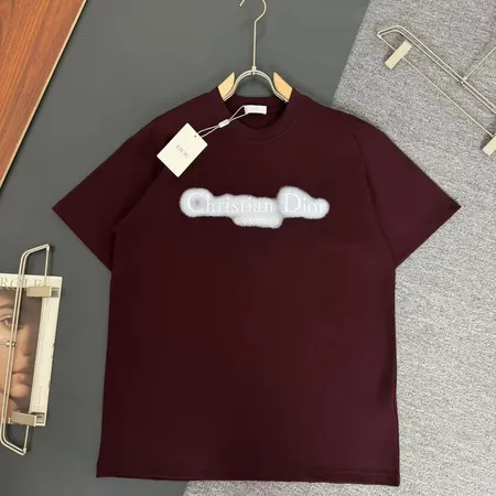 ディオール Tシャツ