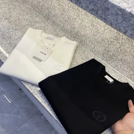 ディオール Tシャツ
