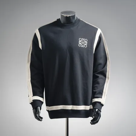 ロエベ パーカー