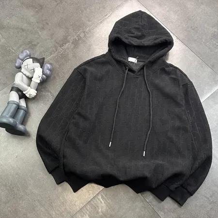 ディオール パーカー