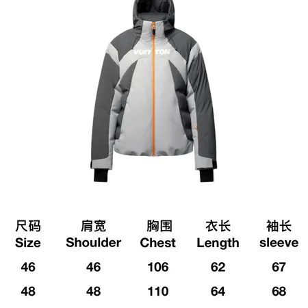 ルイヴィトン ダウンジャケット