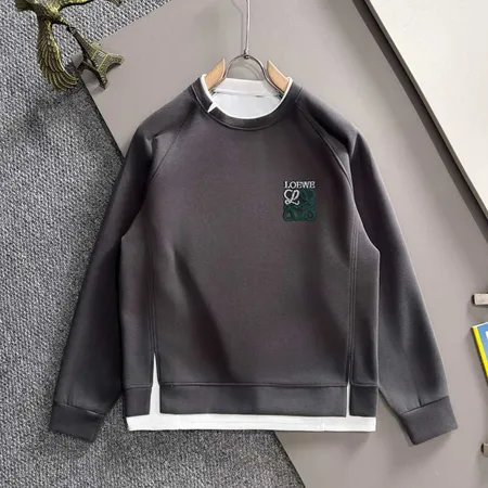 ロエベ パーカー