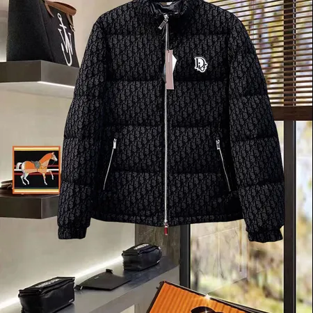 ディオール ダウンジャケット