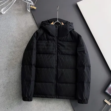 ルイヴィトン ダウンジャケット