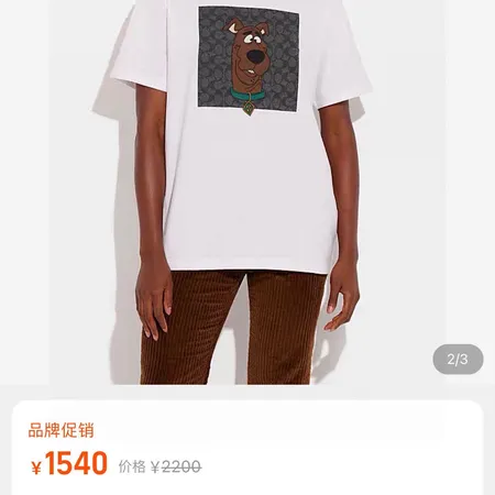 コーチ Tシャツ