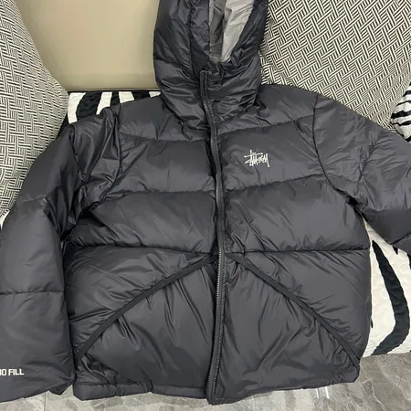 ステューシー ダウンジャケット