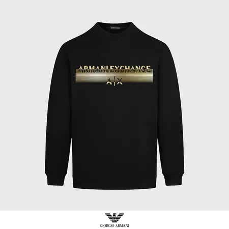 アルマーニ パーカー