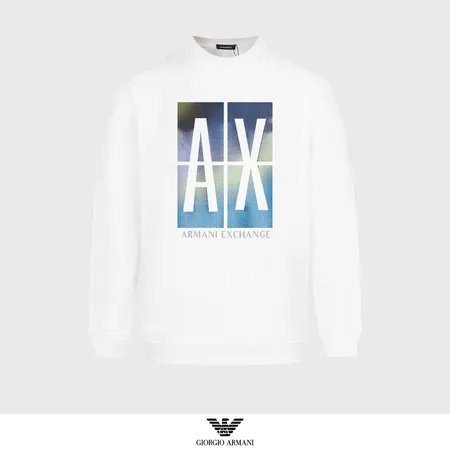 アルマーニ パーカー