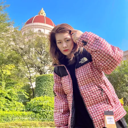 ノースフェイス ダウンジャケット