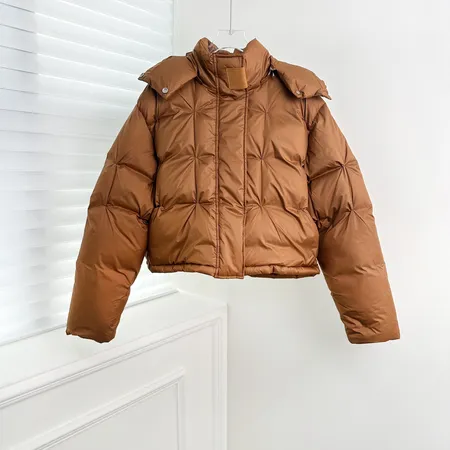 ロエベ ダウンジャケット